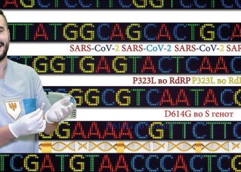 Д-р Кунгуловски: Ако сега во Македонија влезат бразилскиот и јужно-африканскиот сој најверојатно нема да преовладеат над британскиот