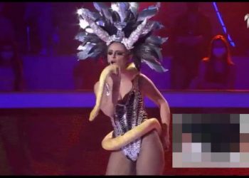 Во долна облека на сцена, а околу струкот – ЗМИЈА! Наша учесничка во „Ѕвездите на Град“ ги остави сите во шок и со подотворена уста (ФОТО+ВИДЕО)