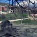 „Живееме како во 19-ти век“: Жителите на Кучково утре на протест сред село