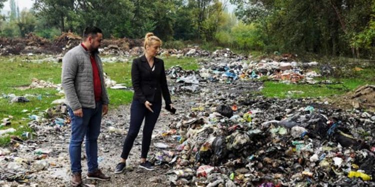 СКОПЈЕ ТОНЕ ВО ДИВИ ДЕПОНИИ Арсовска ќе ги исчисти за 82 дена