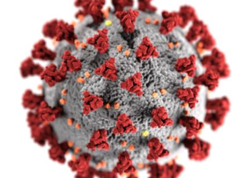 Дневна ковид состојба