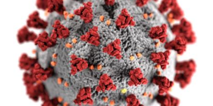 Дневна ковид состојба