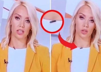 (ВИДЕО) Огромна бубачka ѝ шетала по вратот додека водела програма во живо, реакцијата на водителката е изненадувачка