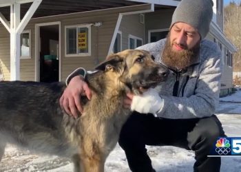 Куче херој: ПОЛИЦИЈАТА ЈА ОДНЕЛ КАЈ ПОВРЕДЕНИОТ ГАЗДА, му го спасил животот (ВИДЕО)