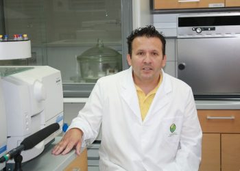 Најкрупните грешки ги направи народот што дозволи некадарници да ни ја решаваат судбината
