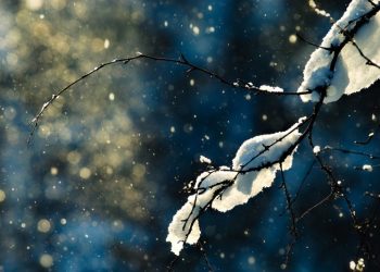 МАКЕДОНЦИТЕ ОД ГОЛО БРДО ОТСЕЧЕНИ ОД СВЕТОТ: Три дена трае борбата со снегот