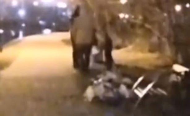 (Видео) Тројца хулигани кршат корпи и го расфрлаат ѓубрето низ центарот на Скопје