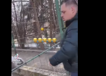 Страшно видео: Вознемирувал магариња во скопската Зоолошка градина, па се пофалил!(ВИДЕО)