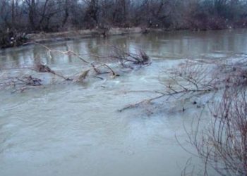 МАЖ СЕ ФРЛИ ВО ВАРДАР, А ПОЛИЦИЈАТА СКОКНАЛА ПО НЕГО