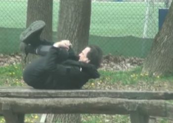 (ВИДЕО+ФОТО) Здравко Чолиќ „уловен“ во необично издание… не сакајќи открил малку повеќе! Како изгледа сопругата Александра во „дневно издание“?