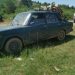 Во голема полициска акција се приведени 16 дрвокрадци од Прилеп