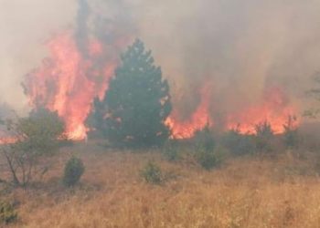 (ФОТО) БECНЕЕ пожaр во Берово: Општината бара помош од населението