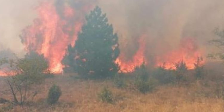 (ФОТО) БECНЕЕ пожaр во Берово: Општината бара помош од населението