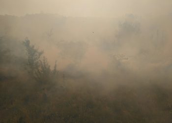ВНИМАНИЕ: Берово бара во гаснењето на пожарот да се вклучат и хеликоптери