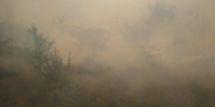 ВНИМАНИЕ: Берово бара во гаснењето на пожарот да се вклучат и хеликоптери