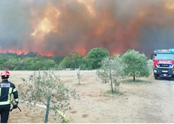 Ова е голема штета – ова да биде последен таков случај: Само што почнаа пожарите, се појави и ЖРТВА – полицајка од италијанска страна настрада откако врз неа падна изгорено дрво