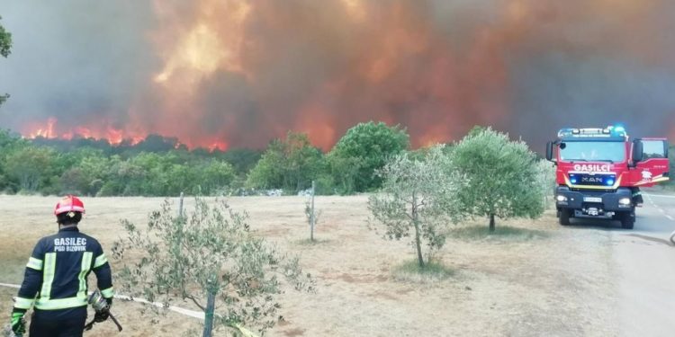 Ова е голема штета – ова да биде последен таков случај: Само што почнаа пожарите, се појави и ЖРТВА – полицајка од италијанска страна настрада откако врз неа падна изгорено дрво