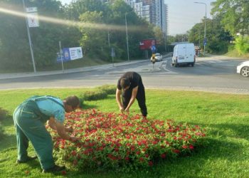 Оставка од директорот на ЈП „Паркови и зеленило“ Сотировски: Новиот амбиент во Градот Скопје нема да ми дозволи успешно менаџирање