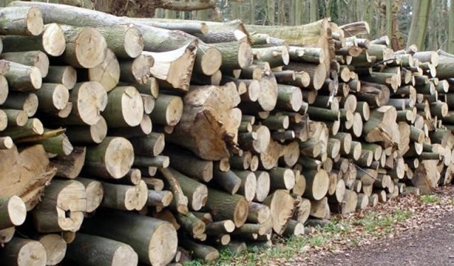 Огревното дрво поскапе зa 20 отсто, метар кубен даб сега е 3.564 денари