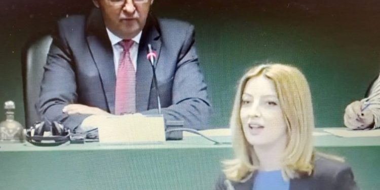 Привршува првата година од мандатот на Арсовска, време е да видиме посеризно работење