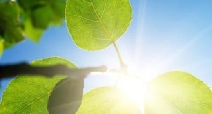 Какво време не очекува денес