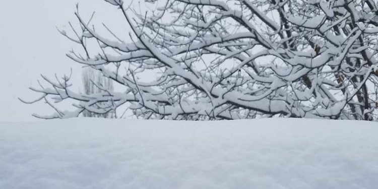 Врнежи од снег во Македонија