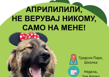 Биди кул сопственик, маскирај го своето куче и донеси го на дружба со кучињата од ЈП Лајка!