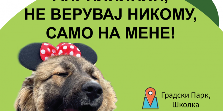 Биди кул сопственик, маскирај го своето куче и донеси го на дружба со кучињата од ЈП Лајка!