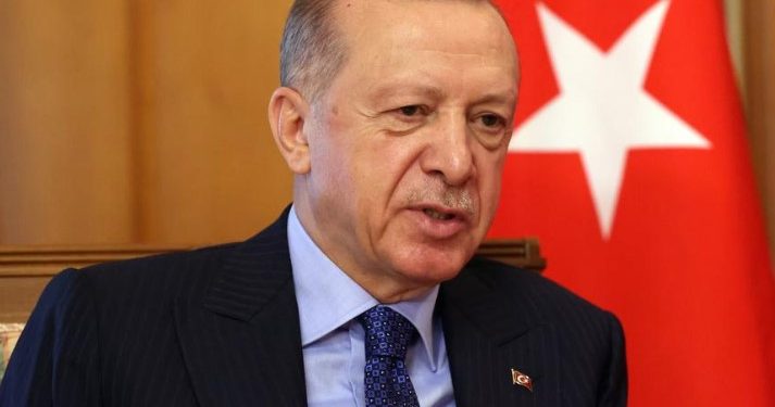 Ердоган тврди дека води на предизборните анкети