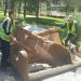 Кисела Вода бесплатно ќе го собира кабастиот отпад