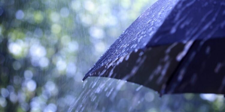 Променливо време со дожд и грмежи