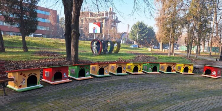 Убаво: Уметници на бездомни кучиња им подарија 10 куќички во Скопје
