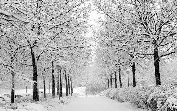 Во делови од Македонија ќе трупа снег, а некаде ќе врне дожд – Синоптичарите објавија детална прогноза за следните 4 дена