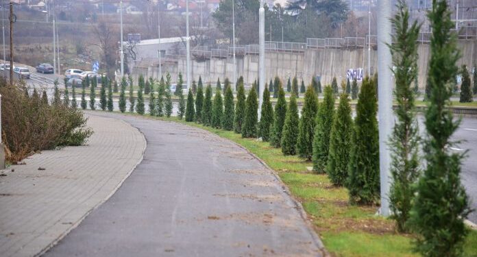 Акцијата за садење дрвја во Скопје ќе продолжи или пак ќе се замени со садење згради?