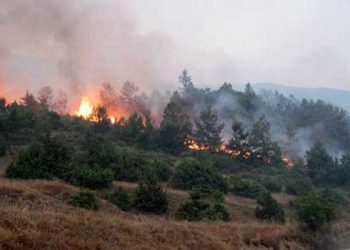 Може дождот ќе помогне барем за кратко?