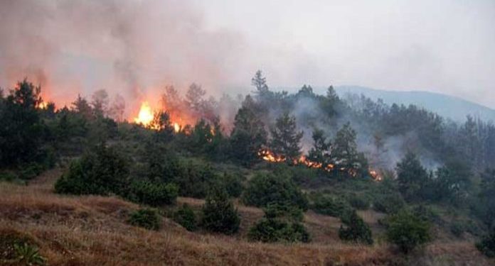 Може дождот ќе помогне барем за кратко?
