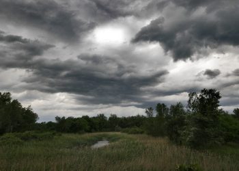Претпладне сончево, попладне локален пороен дожд и грмежи