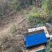 Мечка нападнала стадо овци во Гостиварско