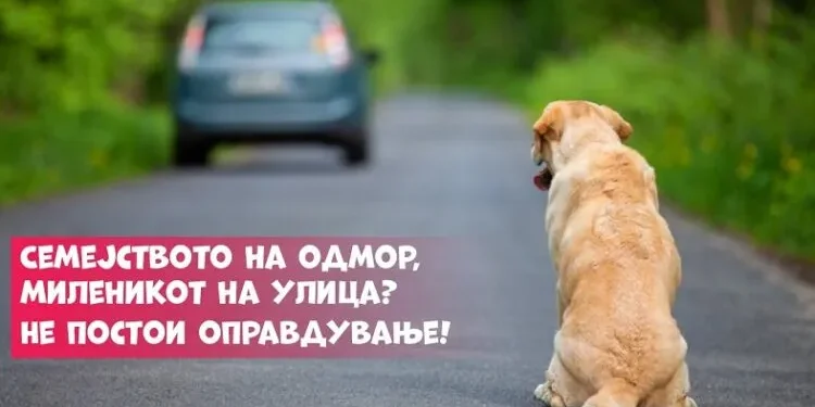 Семејството на одмор, миленикот на улица? Не постои оправдување!