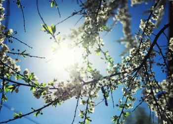 Најтопло во Гевгелија и Дојран, најстудено во Лазарополе