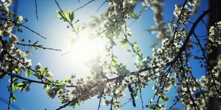 Најтопло во Гевгелија и Дојран, најстудено во Лазарополе