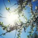 Најтопло во Гевгелија и Дојран, најстудено во Лазарополе