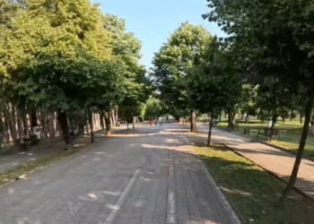Битолчанец се заглавил на дрво во Градскиот парк, пожарникари го симнале