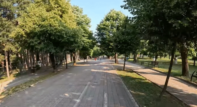 Битолчанец се заглавил на дрво во Градскиот парк, пожарникари го симнале
