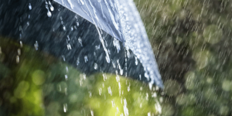 Времето денеска со локален пороен дожд и грмежи