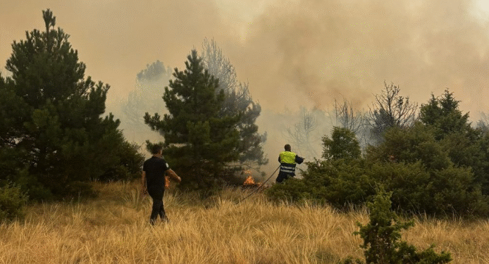 Пожарот кај Јажинце е ставен под контрола, информираат од ЦУК