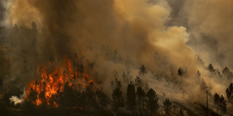 Голем пожар во Шпанија, евакуирани 1.000 луѓе