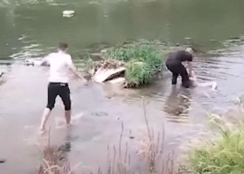 (Видео) Полицијата ја спаси жената што се фрли во водите на реката Вардар