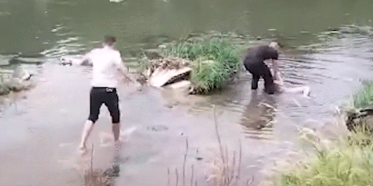 (Видео) Полицијата ја спаси жената што се фрли во водите на реката Вардар