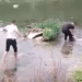 (Видео) Полицијата ја спаси жената што се фрли во водите на реката Вардар